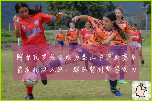 阿尔瓦罗或将成为泰山中卫新赛季首发轮换人选，球队替补阵容实力不足